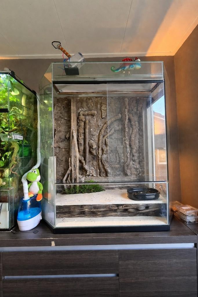 Mooi groot terrarium voor Kameleon of andere reptielen., Ophalen of Verzenden