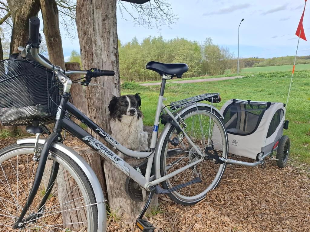 Fiets met hondenkar, Ophalen of Verzenden