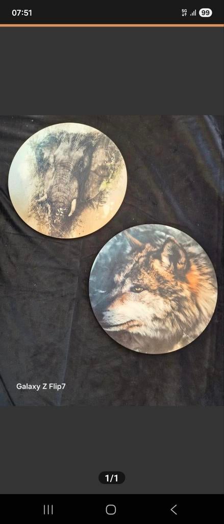 Wandcirkel met olifant of wolf, Ophalen of Verzenden, Nieuw