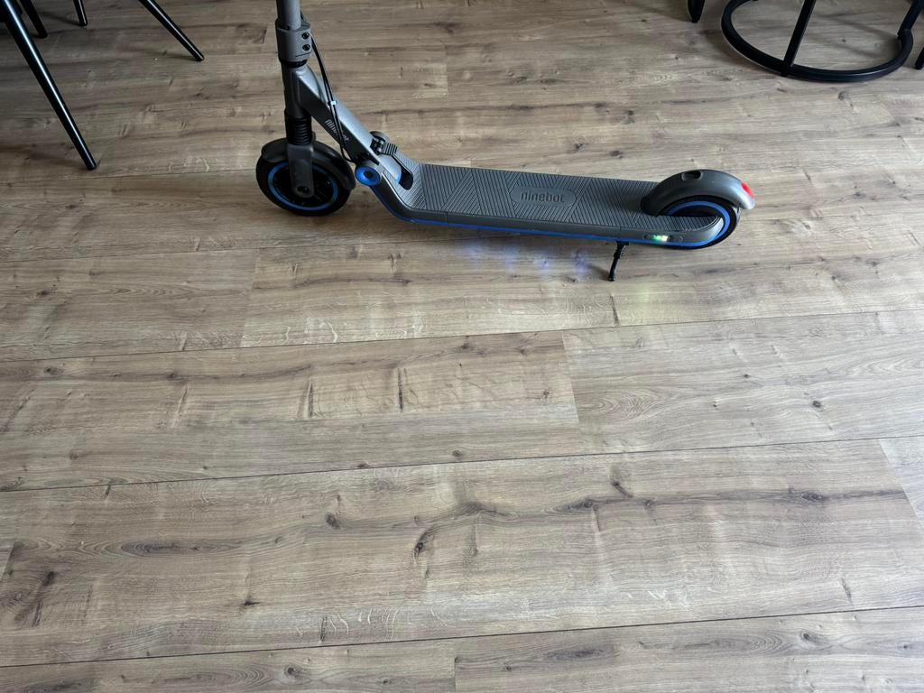 Ninebot ekickscooter ZING E10, Ophalen of Verzenden, Zo goed als nieuw, Elektrische step (E-scooter)