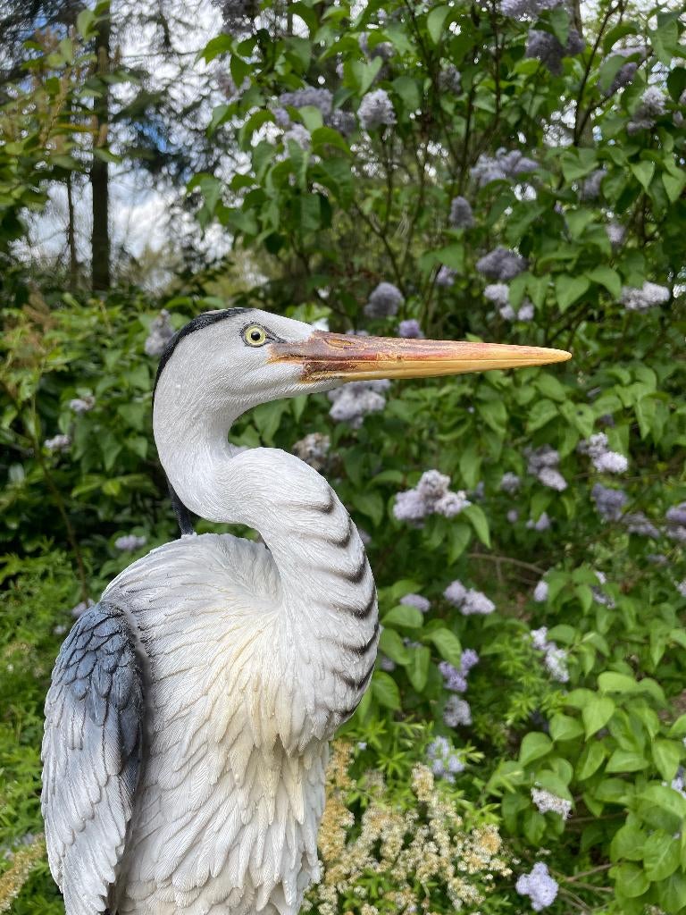 Beeld Reiger, gazon, tuin, vijver, dierentuin 80cm, Tuin en Terras, Tuinbeelden, Ophalen, Nieuw, Kunststof, Dierenbeeld