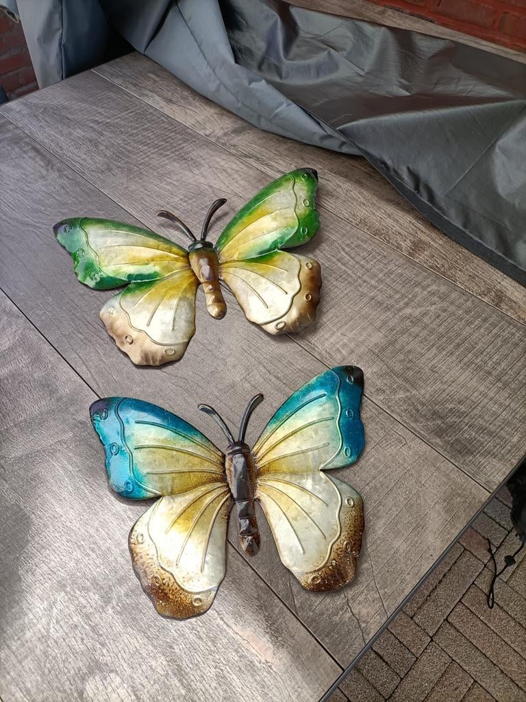 2 vlinders, Ophalen of Verzenden, Overige soorten, Volle zon