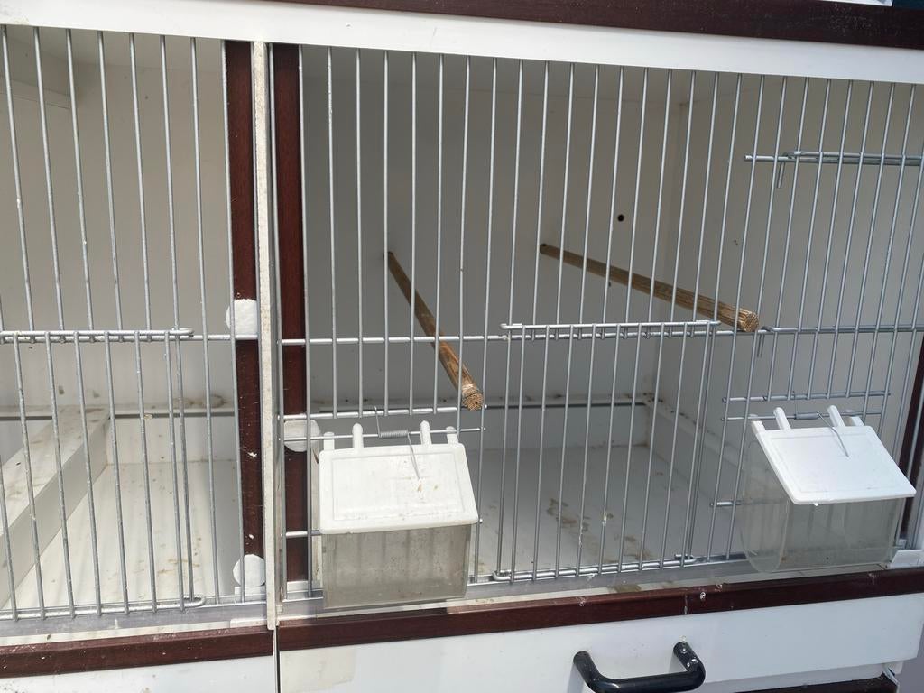 Broedkooien te kopen, Ophalen of Verzenden, Kunststof, Broedkooi of Kweekkooi