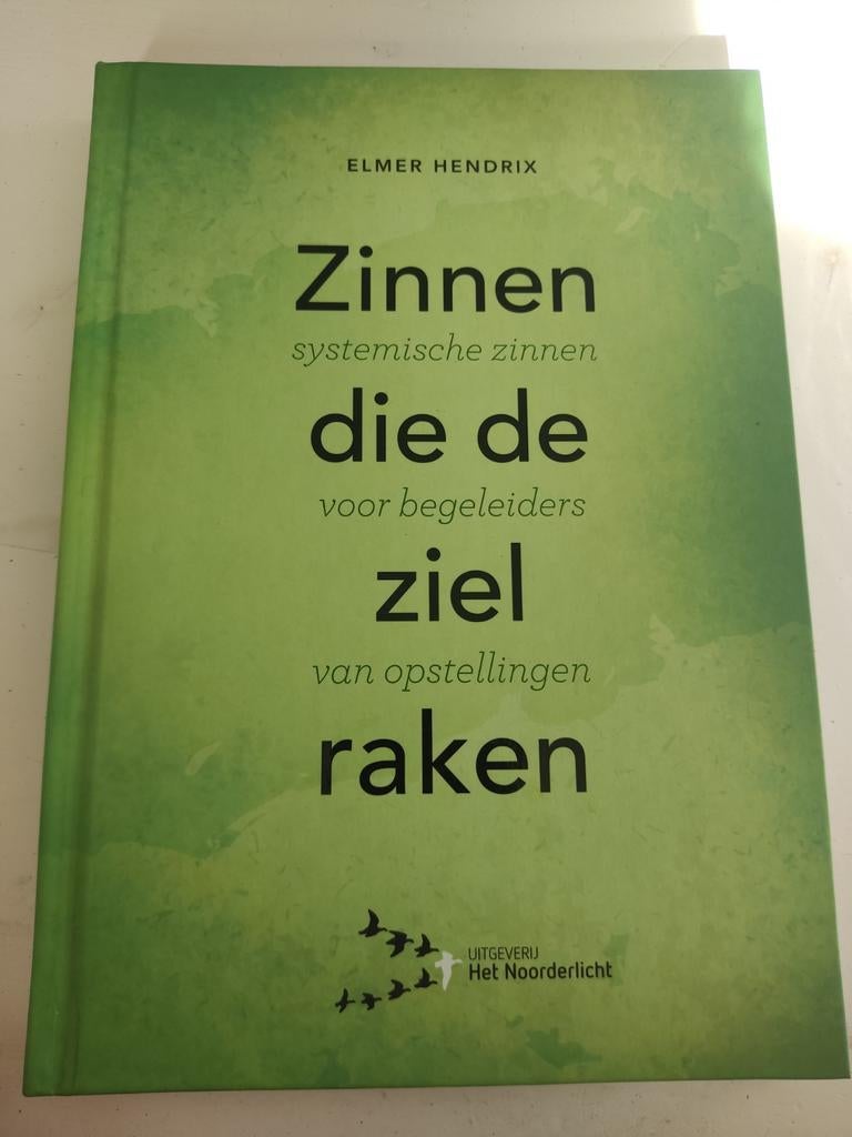 Elmer Hendrix - Zinnen die de ziel raken, Boeken, Ophalen of Verzenden, Elmer Hendrix, Ontwikkelingspsychologie, Zo goed als nieuw