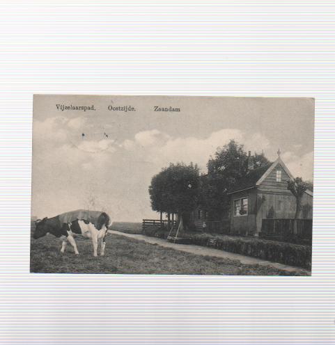 Zaandam Oostzijde Vijzelaarspad net ten Zuiden Spoorlijn, Ophalen of Verzenden, Voor 1920, Gelopen, Noord-Holland