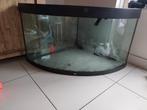 Aquarium Juwel liefst zo snel mogelijk ophalen, Dieren en Toebehoren, Ophalen, Gebruikt, Leeg aquarium