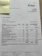 gehoorapparaten Signia oplaadbare, Ophalen, Zo goed als nieuw