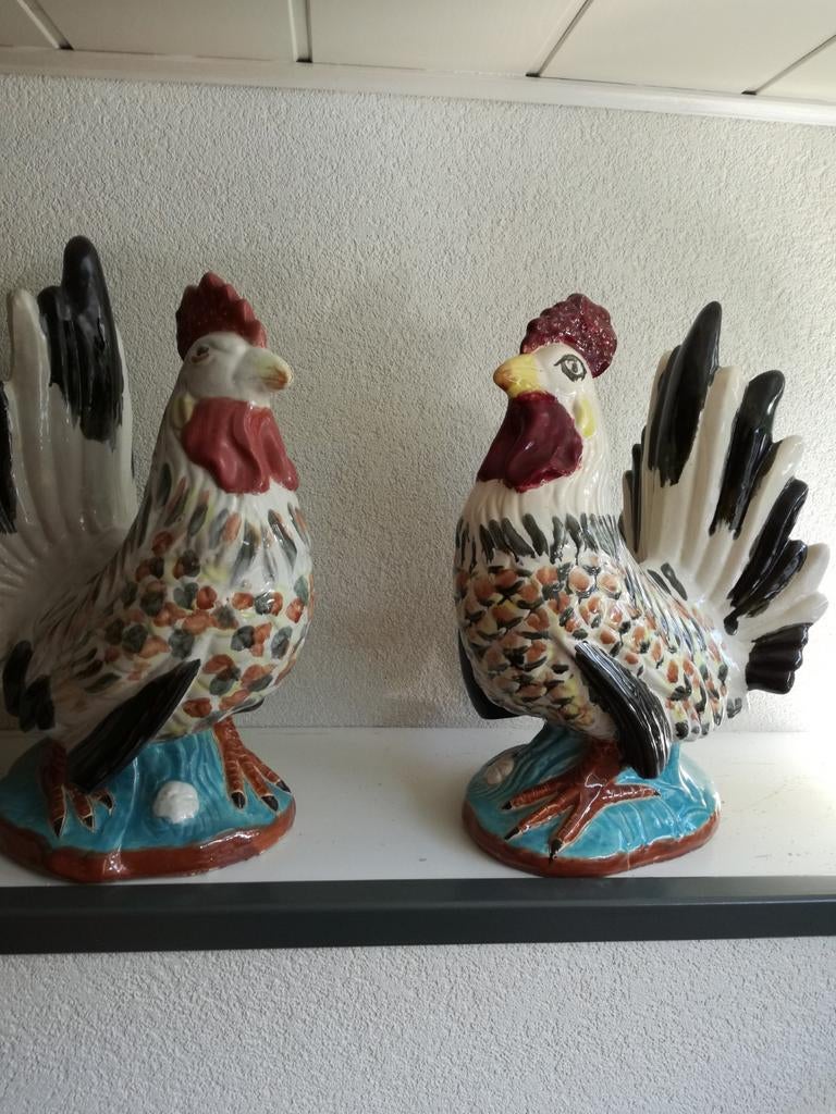 Leuke set 2 kippen, Ophalen, Dier