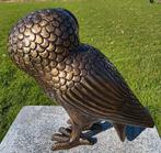 UIL MINERVA / BRONZEN BEELD / UIL, Dierenbeeld, Nieuw, Info@huisentuindecoratiemarie.nl, Huis en tuin decoratie marie