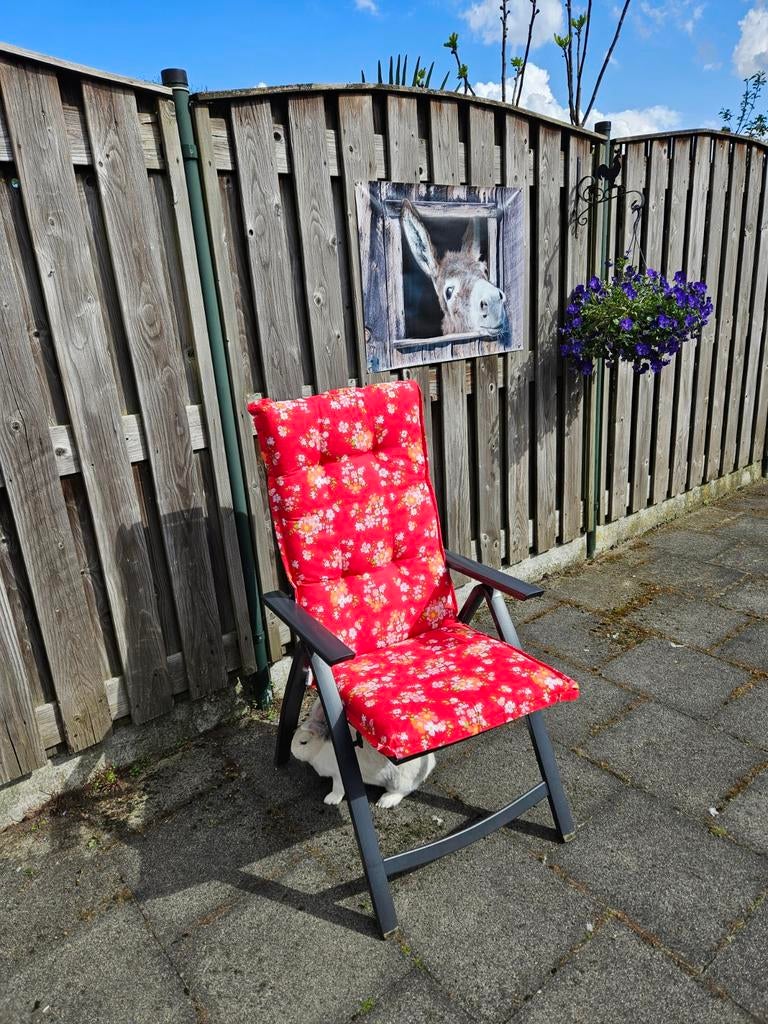 Madison tuinkussens hoge rug, rood met bloemmotief (4 stuks), Ophalen, Zo goed als nieuw
