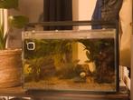 Aquarium met watertesten, voer (plant en vis) en meer, Ophalen