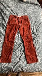 Roodbruine ribbroek w34 l32, Bruin, Maat 42/44 (L), Ophalen of Verzenden, Zo goed als nieuw
