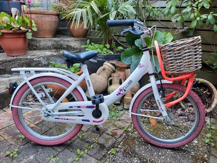 18 inch Alpina Clubb Transporter (ZÉÉR NETTE EN GOEDE STAAT), Fietsen en Brommers, Fietsen | Meisjes, Zo goed als nieuw, 18 inch