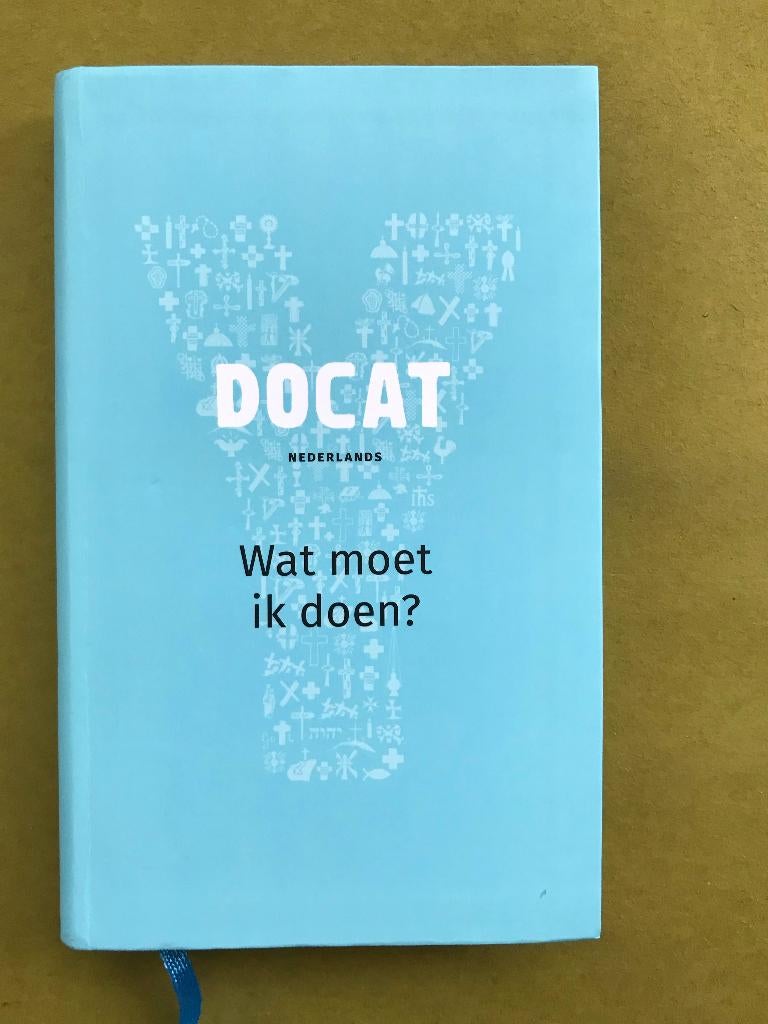 Docat / Wat moet ik doen? ISBN 9789493161634, Ophalen of Verzenden, Zo goed als nieuw, Christendom | Katholiek