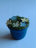 plantje in blauwe bloempot / miniatuur, Ophalen, Nieuw, Decoratie