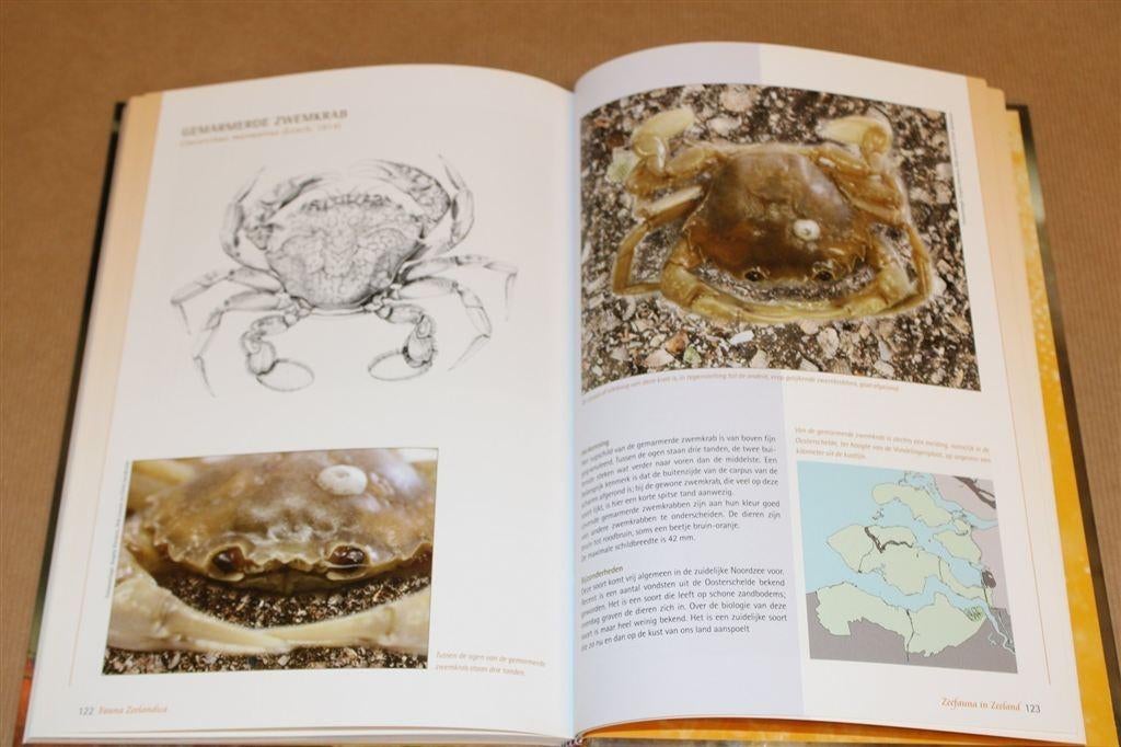 Kreeften, Krabben & Garnalen in Zeeland — Veldgids, Boeken, Ophalen of Verzenden, Zo goed als nieuw, Overige diersoorten