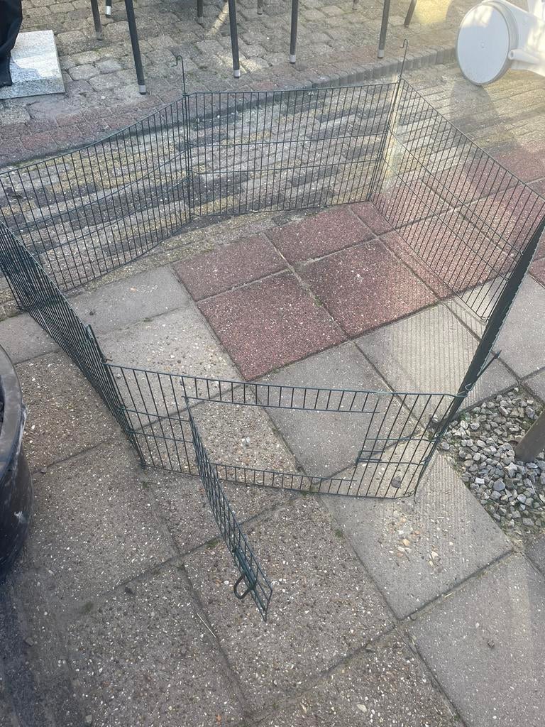 Jonge konijnen/cavia ren, Dieren en Toebehoren, Minder dan 60 cm, 110 cm of meer, Ophalen of Verzenden, Zo goed als nieuw