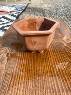 Hexagon bonsaipot, Tuin en Terras, Ophalen of Verzenden, Zo goed als nieuw, Aardewerk, Minder dan 40 cm
