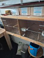 Vogel kooi, ophalen leiden, Dieren en Toebehoren, Vogels | Hokken en Kooien, Ophalen, Metaal, Vogelkooi