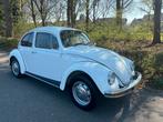 Volkswagen Kever 1600 1983 Wit, Wit, Origineel Nederlands, Bedrijf, Handgeschakeld
