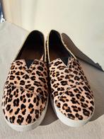 Toms Avalon Dames Sneaker Leopard Print Maat 40, Overige kleuren, Ophalen of Verzenden, Toms, Sneakers of Gympen