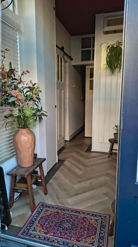 Kattenoppas en huis oppas in Nijmegen gevraagd, Huizen en Kamers, Anti-kraak