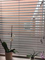 2 jaloezieën, hout/bamboe, kleur clay, Ophalen, Zo goed als nieuw, Grijs