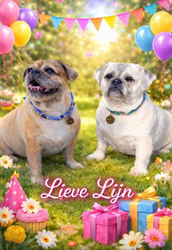 Lieve lijn Honden & Kattenkettingen, Ophalen of Verzenden, Nieuw