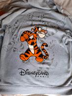 Disney Tigger Hoodie Maat XXL, Maat 56/58 (XL), Ophalen of Verzenden, Zo goed als nieuw, Grijs