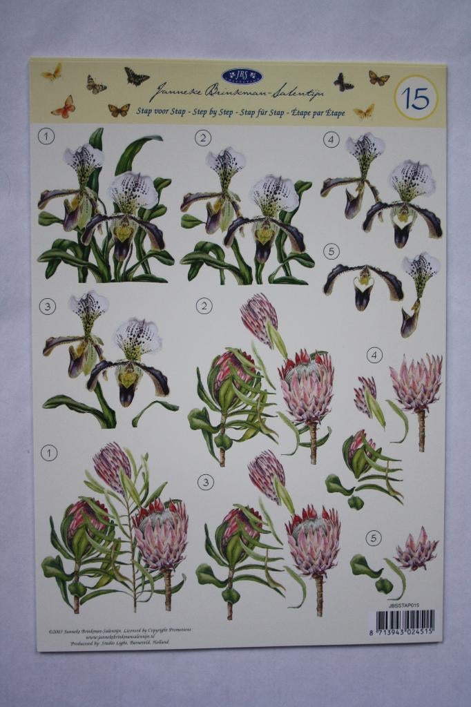 18 stuks Knipvellen Janneke Brinkman 7200, Ophalen of Verzenden, Nieuw, Natuur, Knipvel