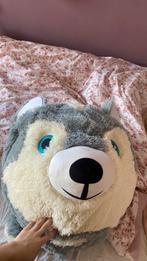 Knuffel hond, Dieren en Toebehoren, Parkiet