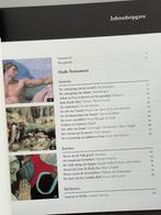 De Bijbel in schilderijen 50 meesterwerken (Nieuw 2017), Ophalen of Verzenden, Nieuw, Schilder- en Tekenkunst