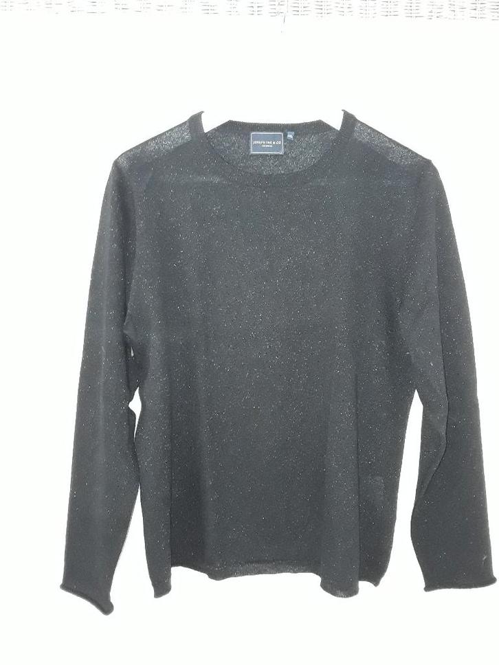 Josephine & Co. Amsterdam Zwart Truitje Met Glitters Mt XXL, Kleding | Dames, Truien en Vesten, Zo goed als nieuw, Maat 46/48 (XL) of groter