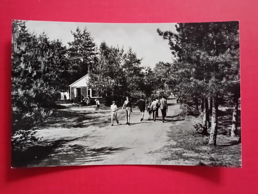 Ansichtkaart Amerongen, Ophalen of Verzenden