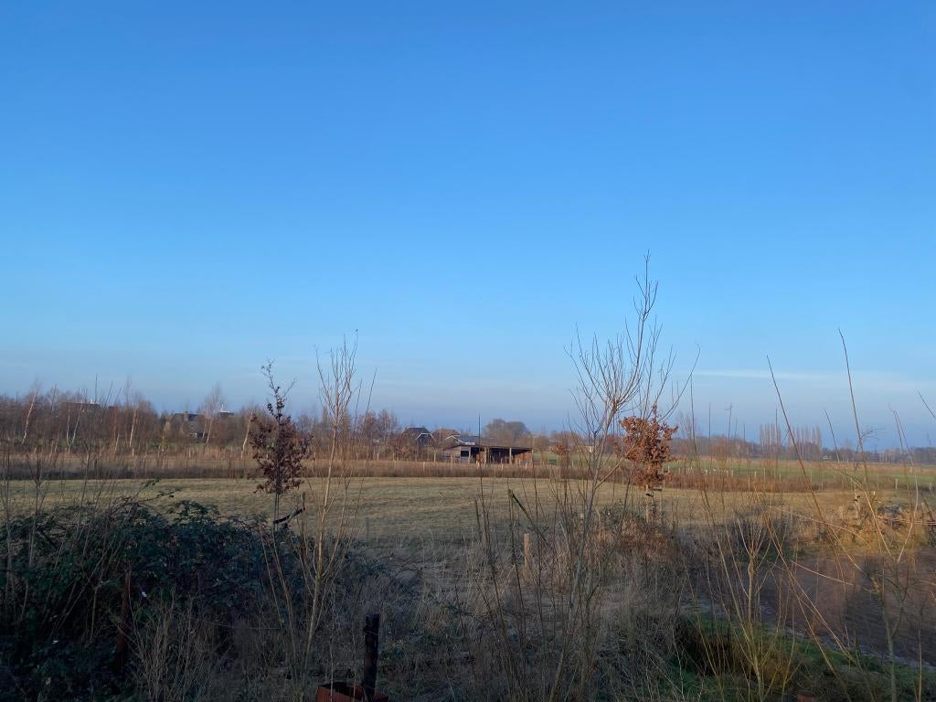 Te huur: weiland met ruime schuilstal 4.000m2 (eigen beheer), Dieren en Toebehoren, Weidegang, 4 paarden of pony's of meer