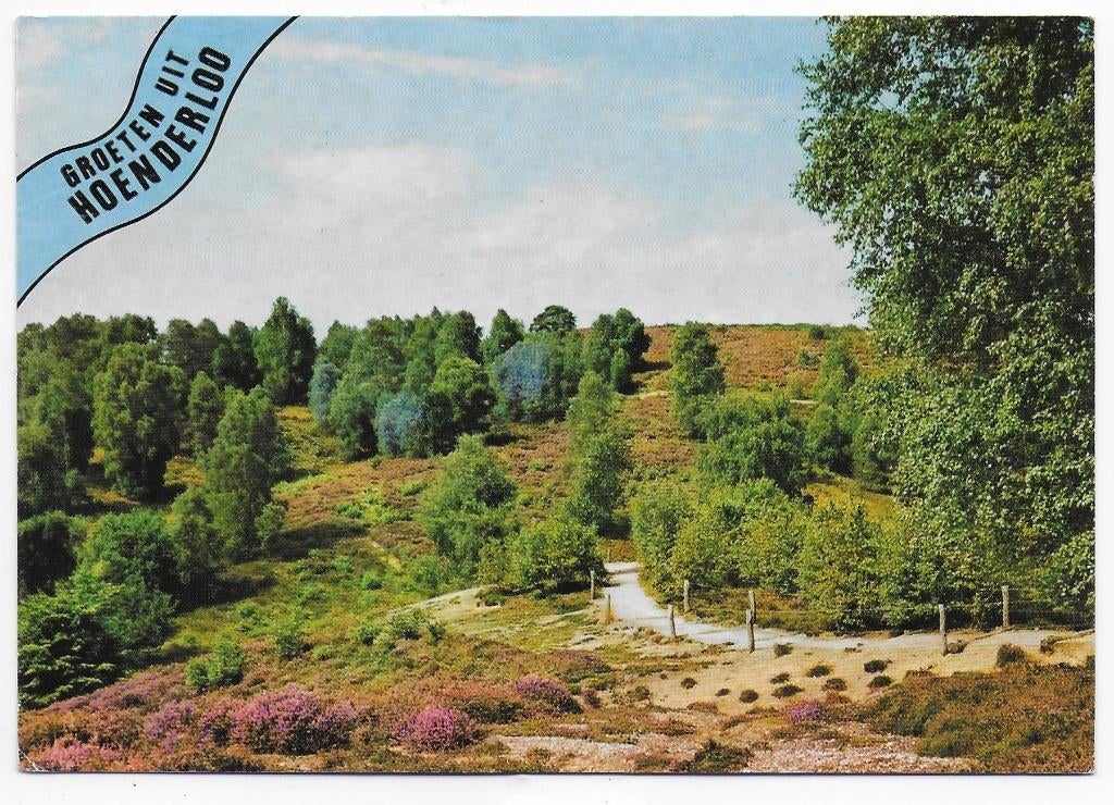 Hoenderloo Gelopen Ansichtkaart ( B5904 ), Ophalen of Verzenden, 1980 tot heden, Gelopen