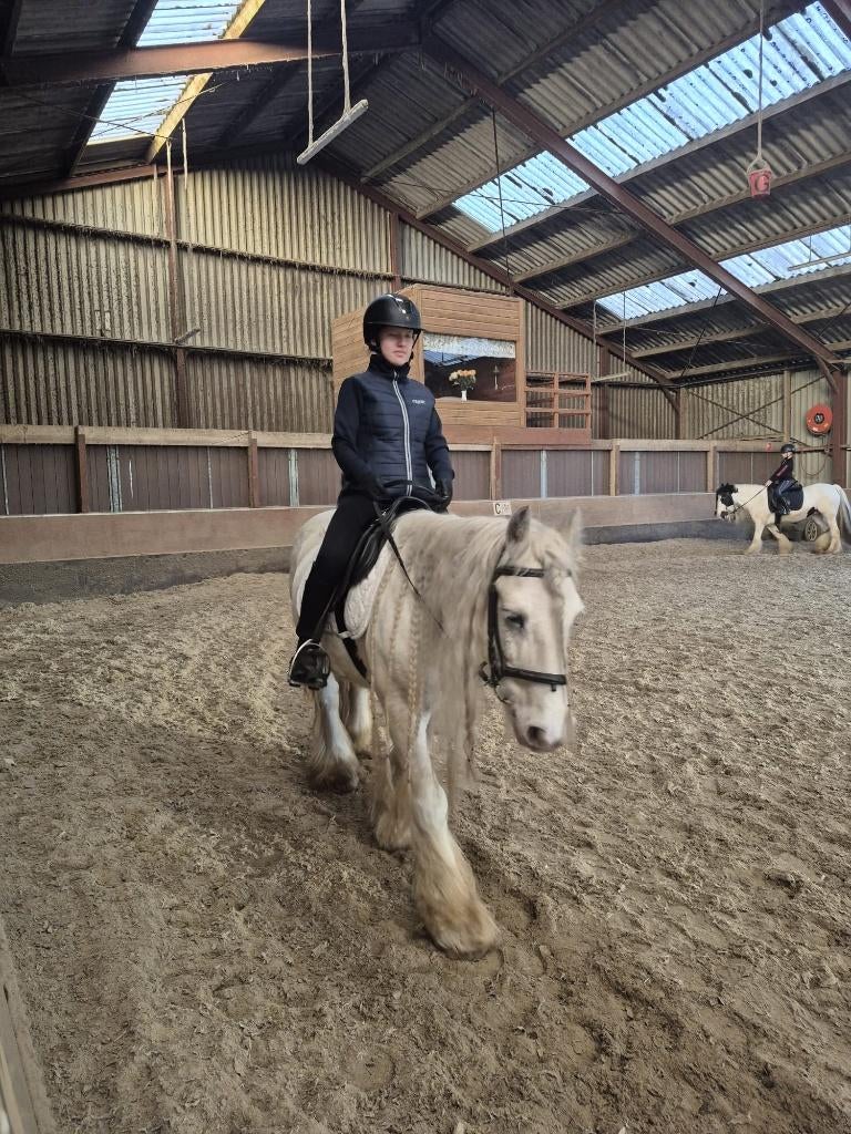 Verzorger aangeboden/ Verzorg pony gezocht, Dieren en Toebehoren, Paarden en Pony's | Overige Paardenspullen, Ophalen of Verzenden