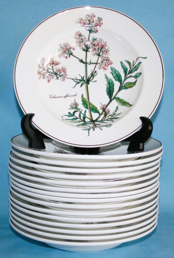 Villeroy & Boch " Botanica " Diepeborden, 2 de Hands, Villeroy & Boch, Ophalen of Verzenden, Zo goed als nieuw