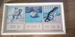 Vintage Leesplankje Aap Noot Mies, Antiek en Kunst, Antiek | Schoolplaten, Ophalen of Verzenden, Overige thema's