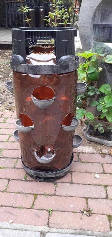 aardbei torens / zomergoed torens beschikbaar voor biedingen