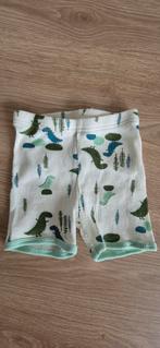 Dino broekje, Kinderen en Baby's, Babykleding | Maat 74, Broekje, Ophalen of Verzenden, Zo goed als nieuw, Hema