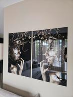 2 Plexiglas schilderijen NIEUW!, Ophalen of Verzenden