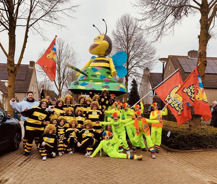 Carnaval bijenpakken voor loopgroep, Kleding | Dames, Carnavalskleding en Feestkleding, Zo goed als nieuw, Kleding, Carnaval, Ophalen of Verzenden