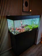 Juwel Rio 180 Liter, Helialux spectrum led, Oase Biomaster., Dieren en Toebehoren, Ophalen, Zo goed als nieuw, Gevuld zoetwateraquarium