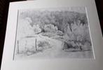 originele tekening Ida Zwartkruis 1988 duinen van Schoorl, Antiek en Kunst, Ophalen