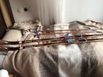 Langlauf ski’s Asnes Vintage hout, Overige merken, 180 cm of meer, Ophalen of Verzenden, Zo goed als nieuw