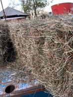 Hooigras, Dieren en Toebehoren, Ophalen of Verzenden
