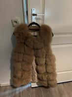 Prachtige beige bodywarmer met echte bond, Kleding | Dames, Bodywarmers, Ophalen of Verzenden, Nieuw, Beige