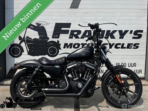 Harley Davidson XL 883N Sportster Iron, Motoren, Motoren | Harley-Davidson, Chopper, meer dan 35 kW, ABS