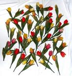 Ruim 50 tulpen als decoratie., Nieuw, Binnen, Ophalen of Verzenden